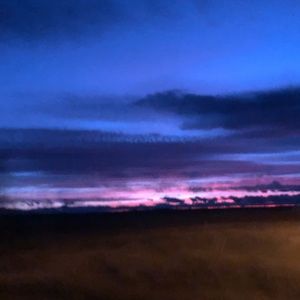 Meet your Posher, Hailey